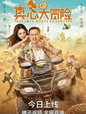 剑落雁回楼 封面