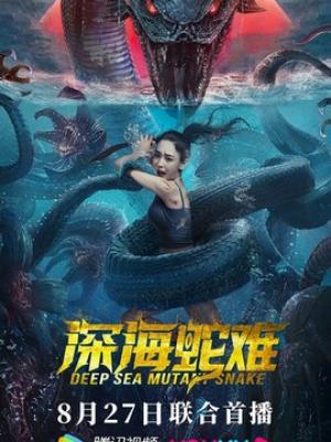 剑落雁回楼 封面